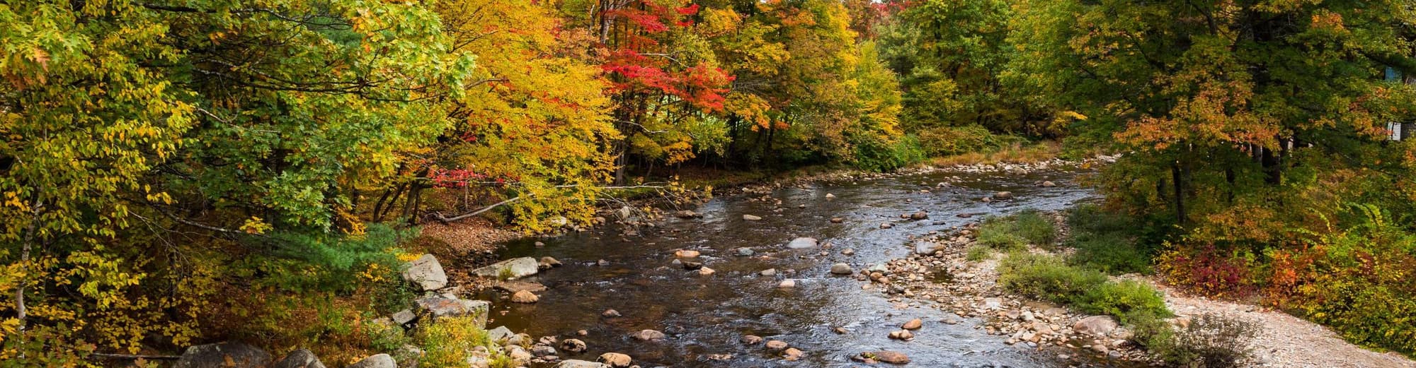 Jackson NH, Verenigde Staten