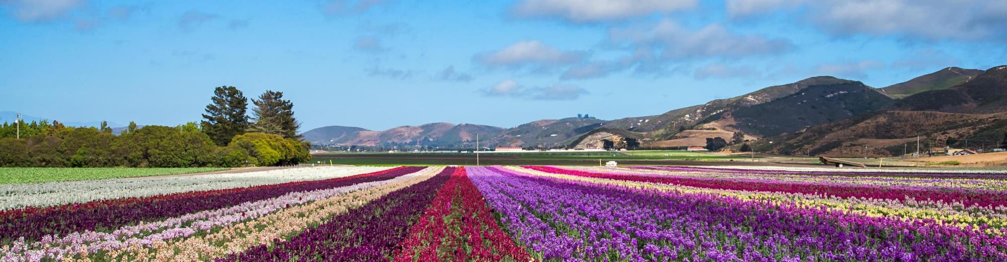 Lompoc CA, Amerika Syarikat