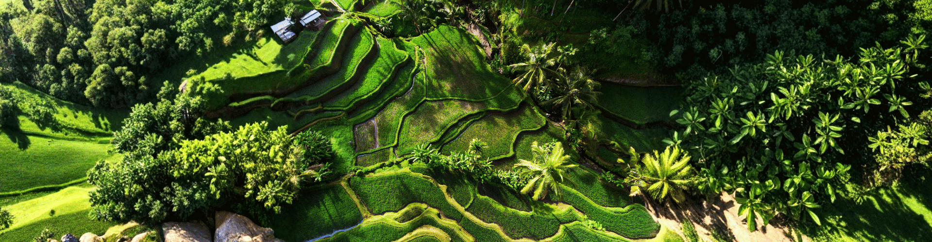 Tegallalang, Indonesia