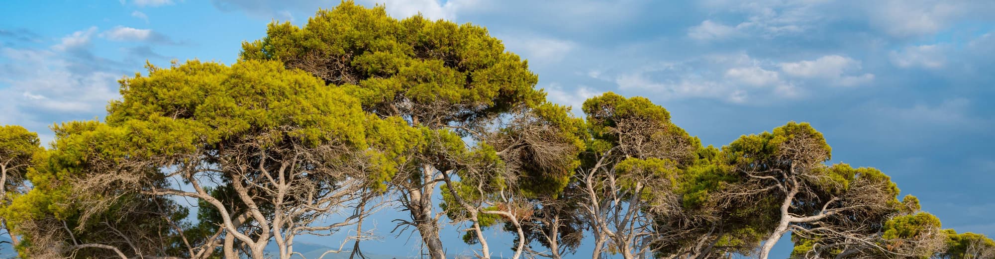 Mantoudi, Euboea, Griekenland