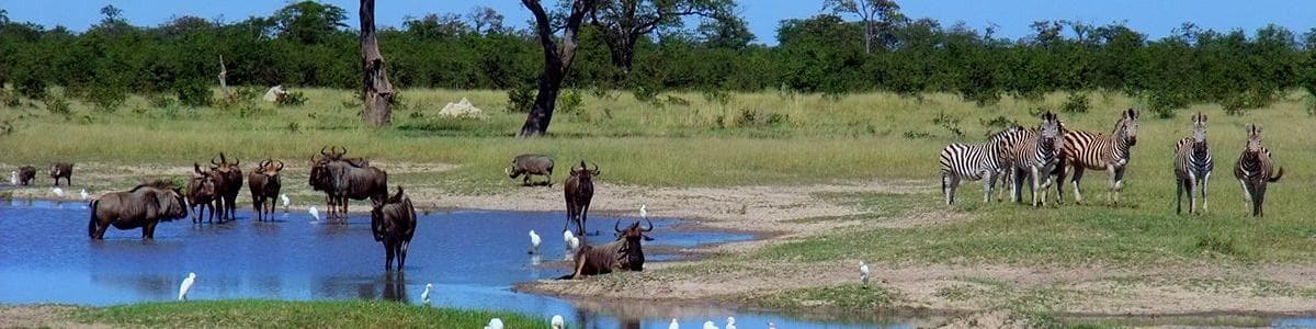 Národní park Chobe, Botswana