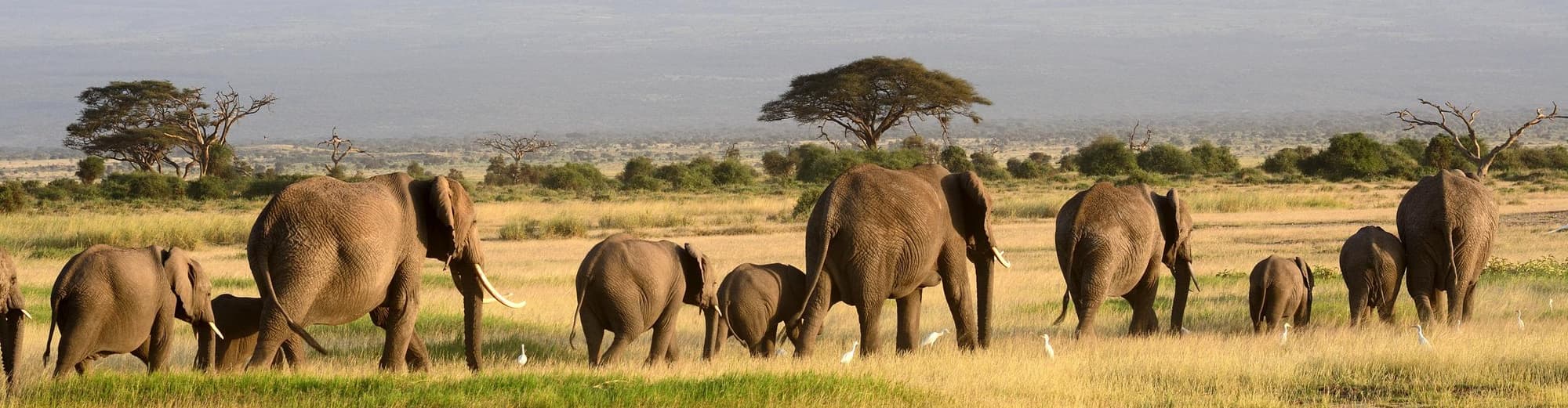 Hutan Simpan Kebangsaan Samburu, Kenya