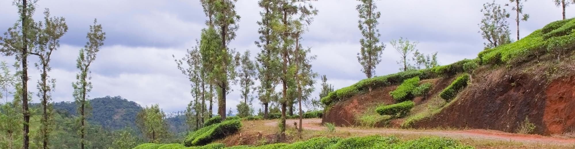 Vythiri, Kerala, India