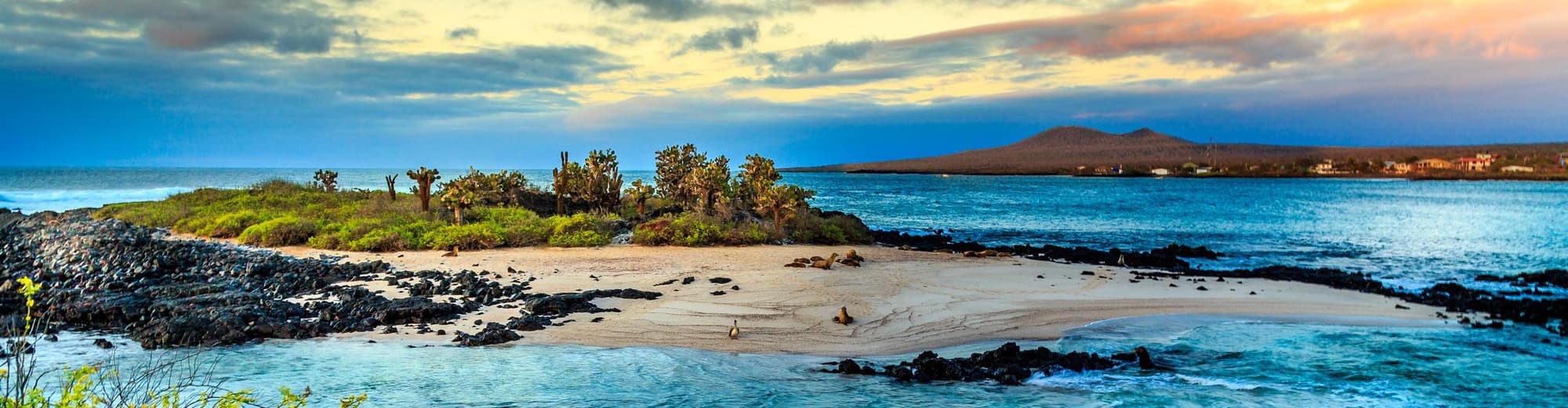 Isabela Adası, Galápagos Adaları, Ekvador