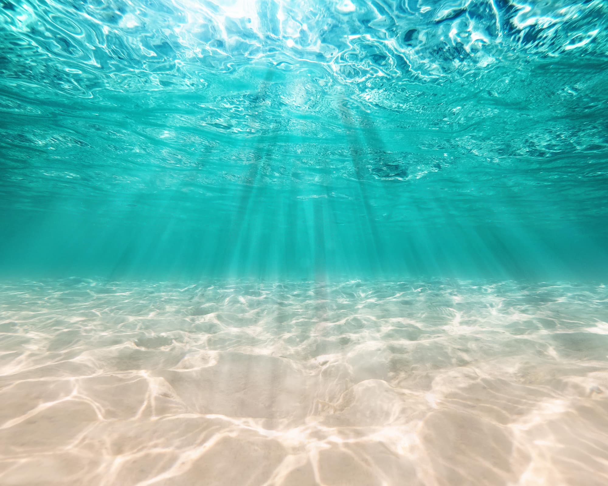 In Navigation Nagasaki, Japón