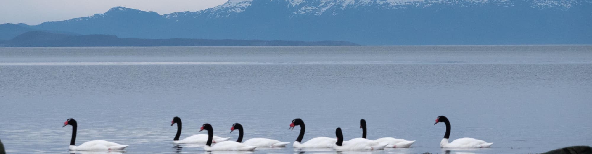 Chilean Fjords, Chile