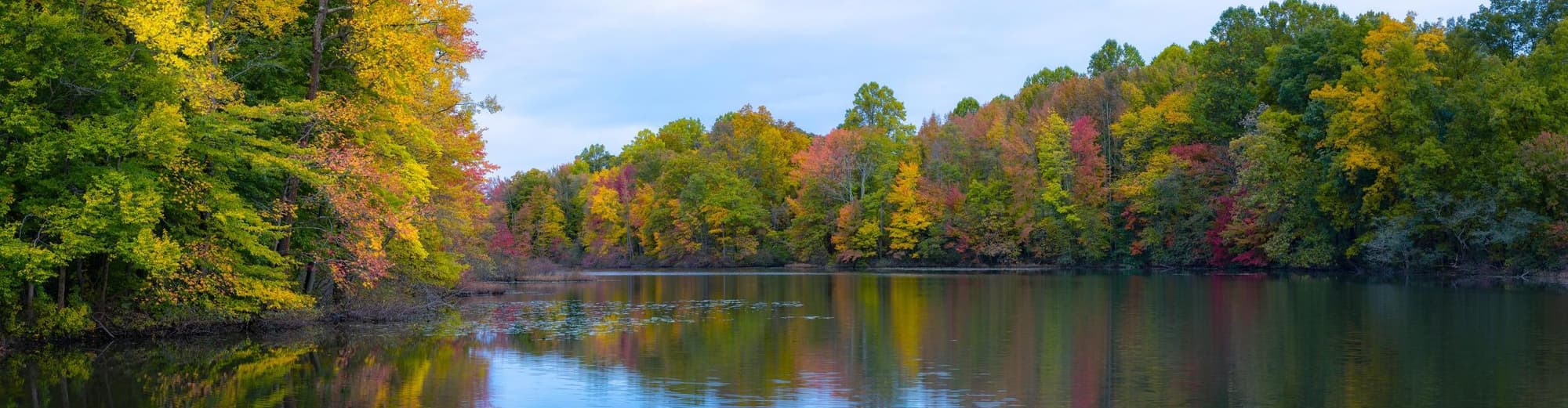 Clifton NJ, Spojené státy americké