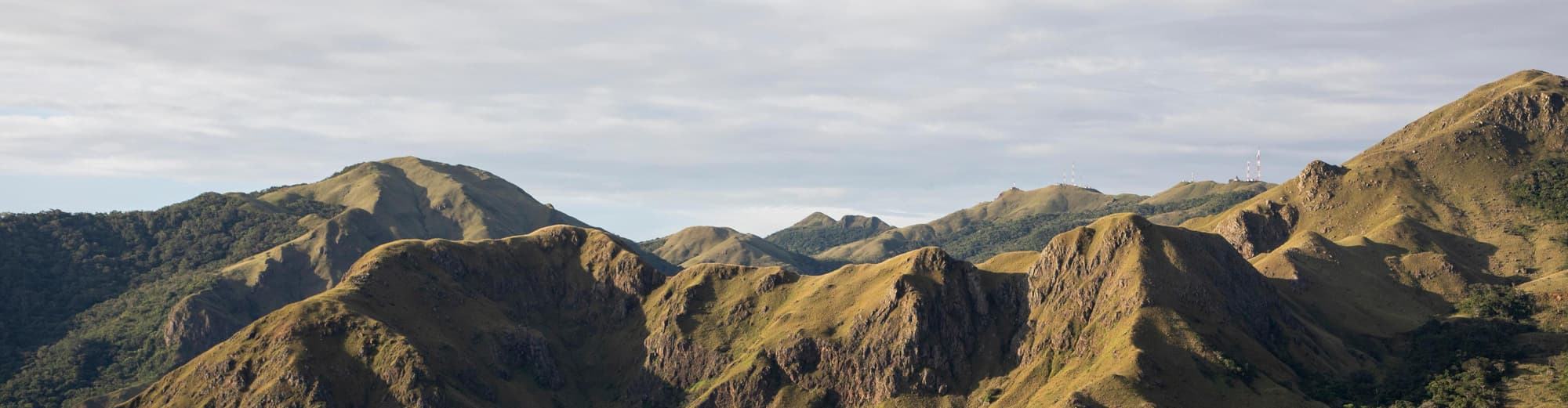 Altos de Campana National Park, パナマ
