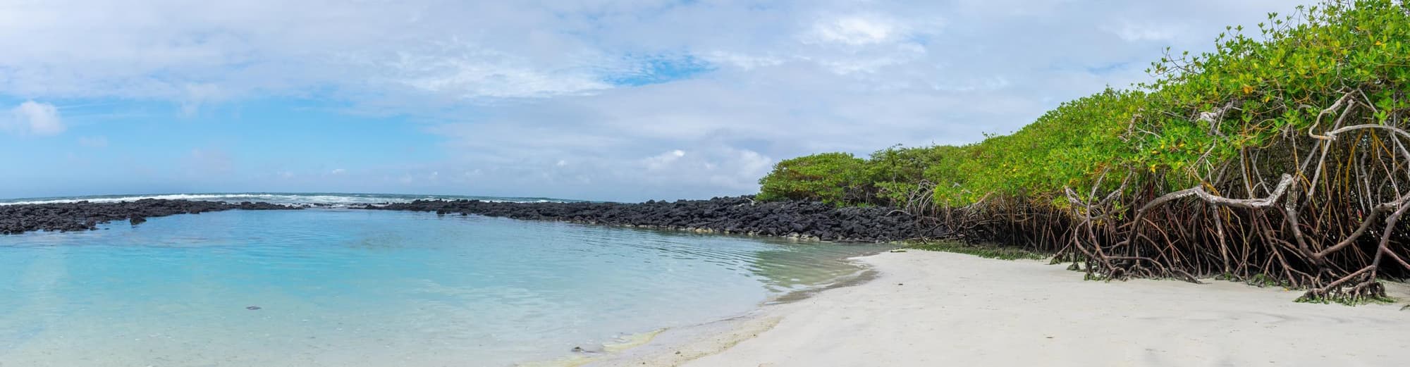 Tortuga Bay, The Galápagos Islands, Ecuador