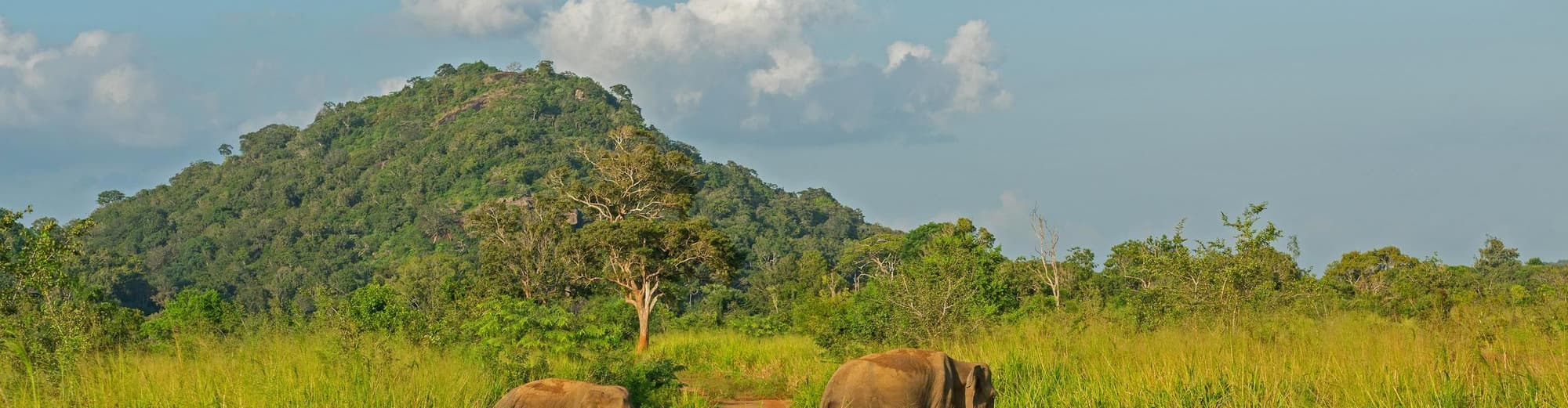 Habarana, Srí Lanka