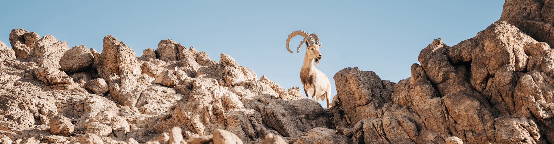 Tabuk, Arabia Saudita
