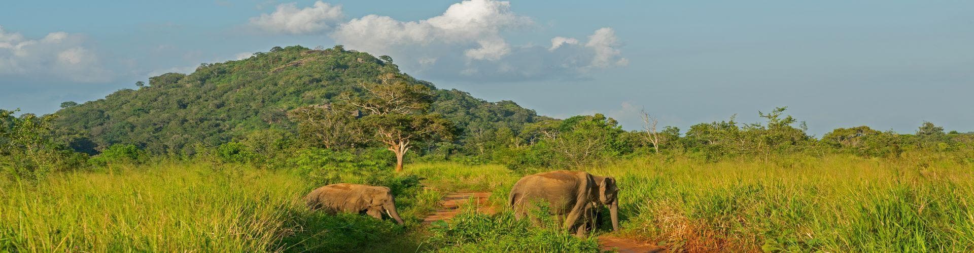 Udavalave, Şri Lanka