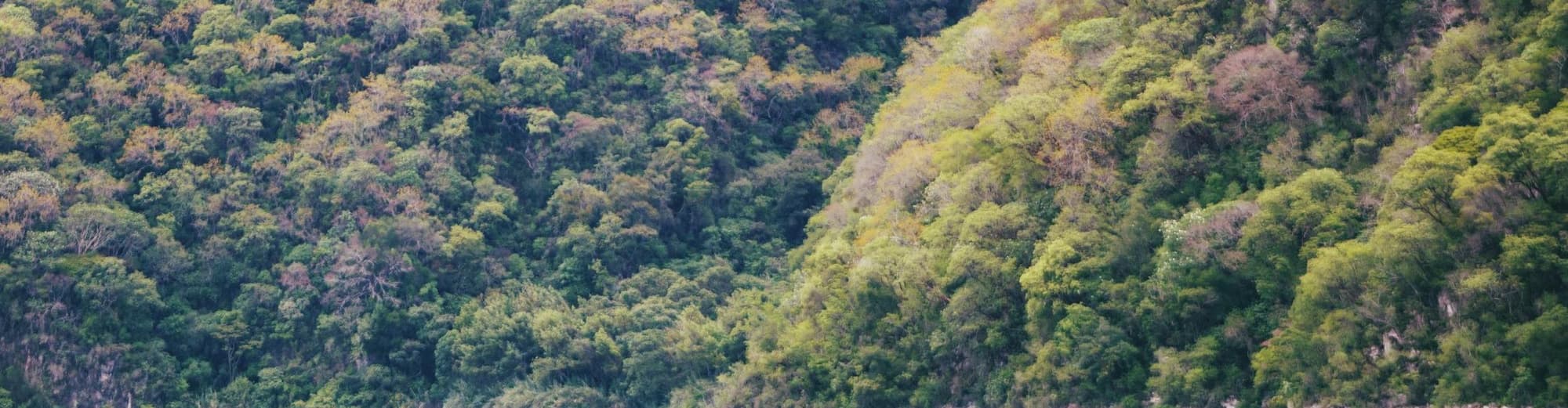 Uaxactún, Guatemala