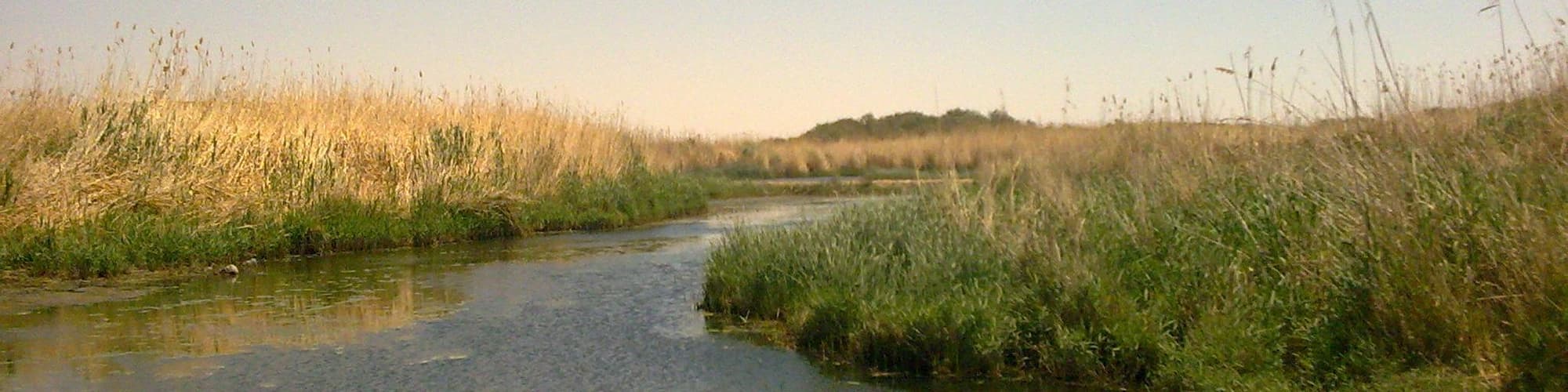 أزرق, الأردن