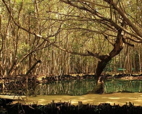 Puerto Progreso, México