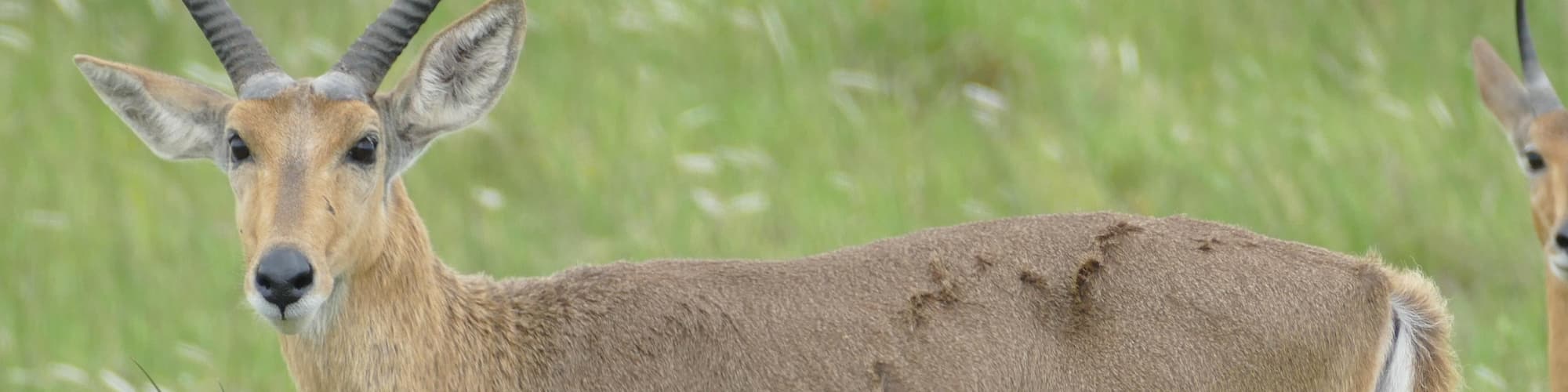 KwaZulu-Natal, Sudáfrica