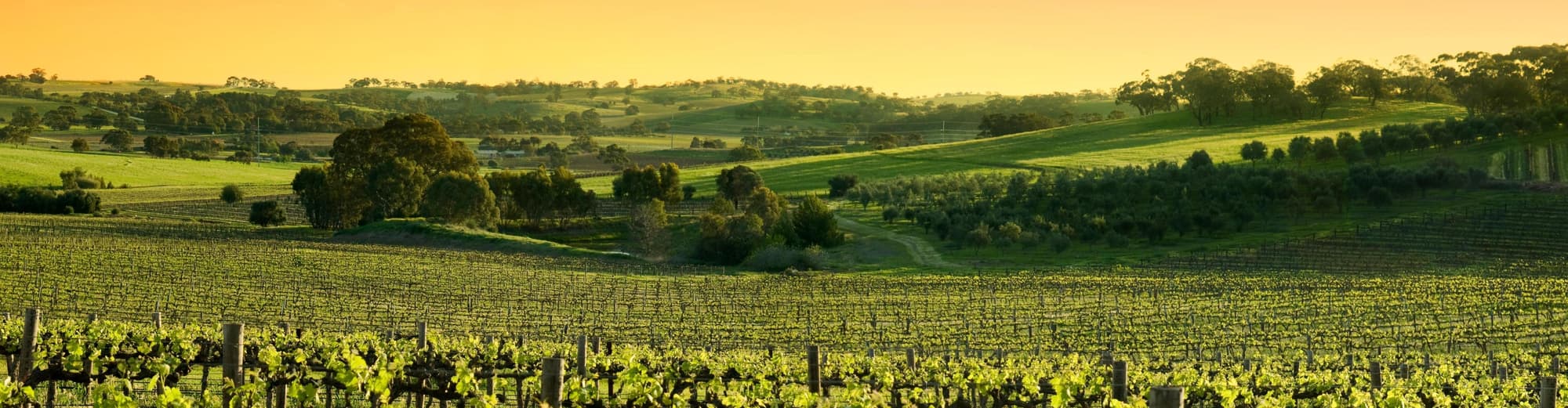 Barossa Valley, Australië