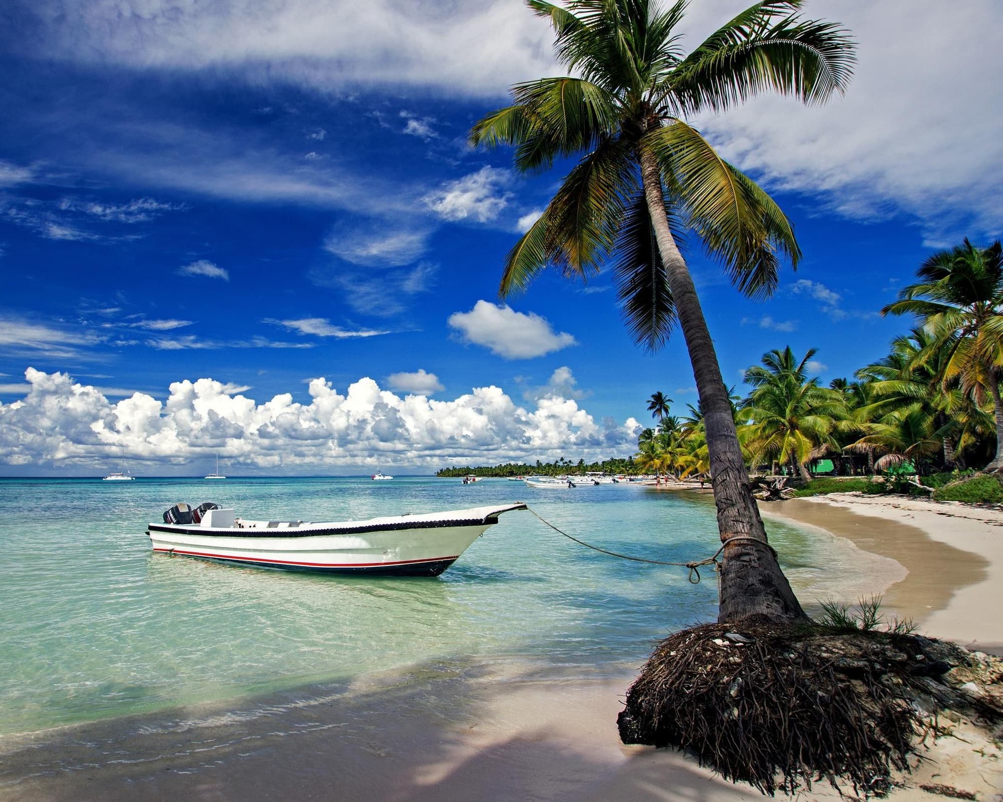 Saona Island, Dominican Republic