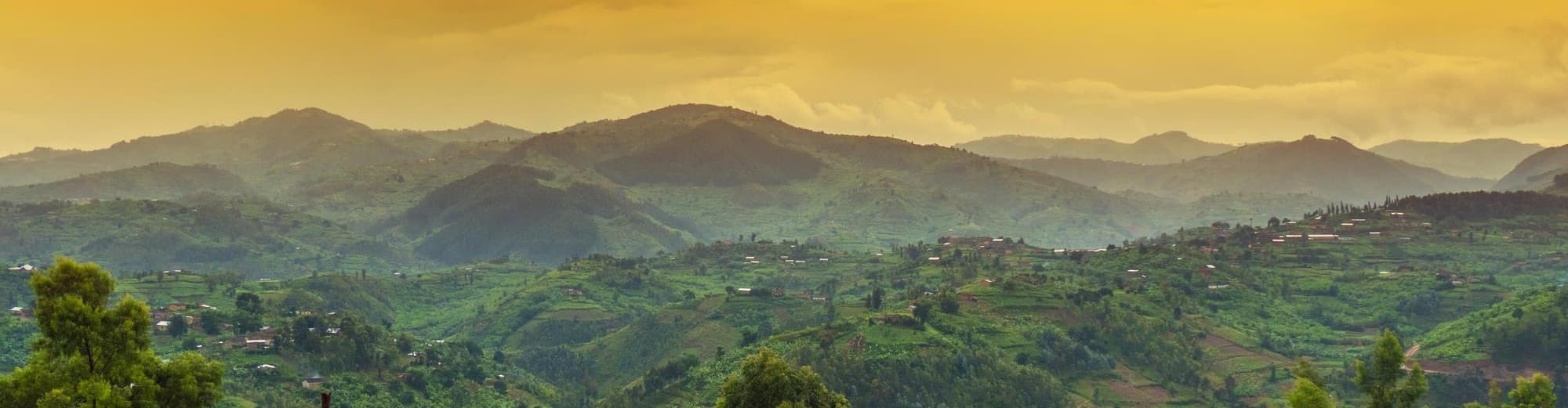 Parque Nacional del Bosque Nyungwe, Ruanda