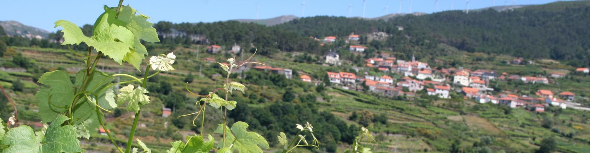 Melgaço, Portugal