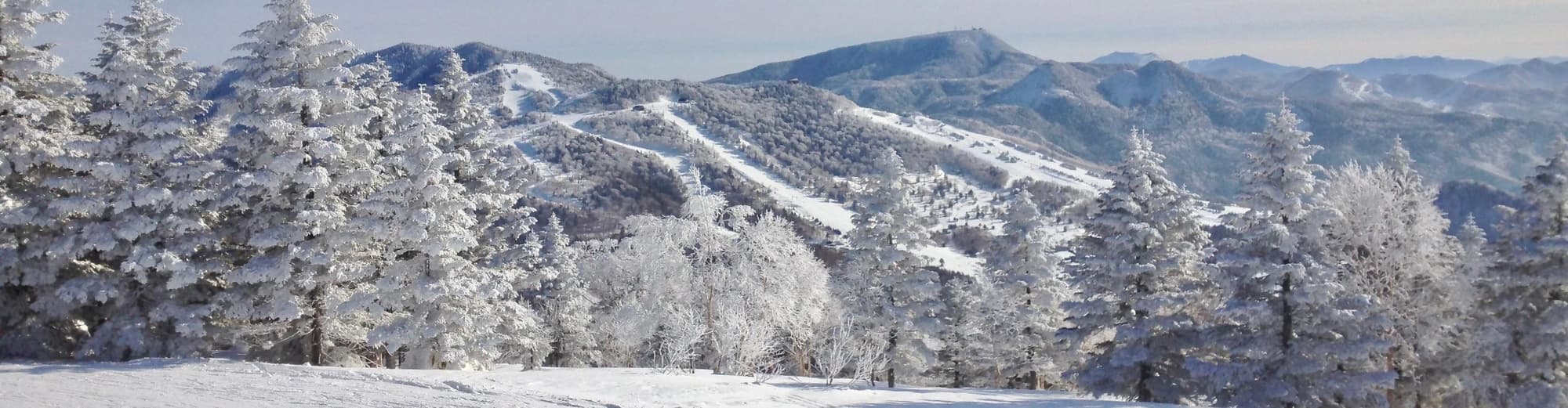 Shiga Kogen, Japón