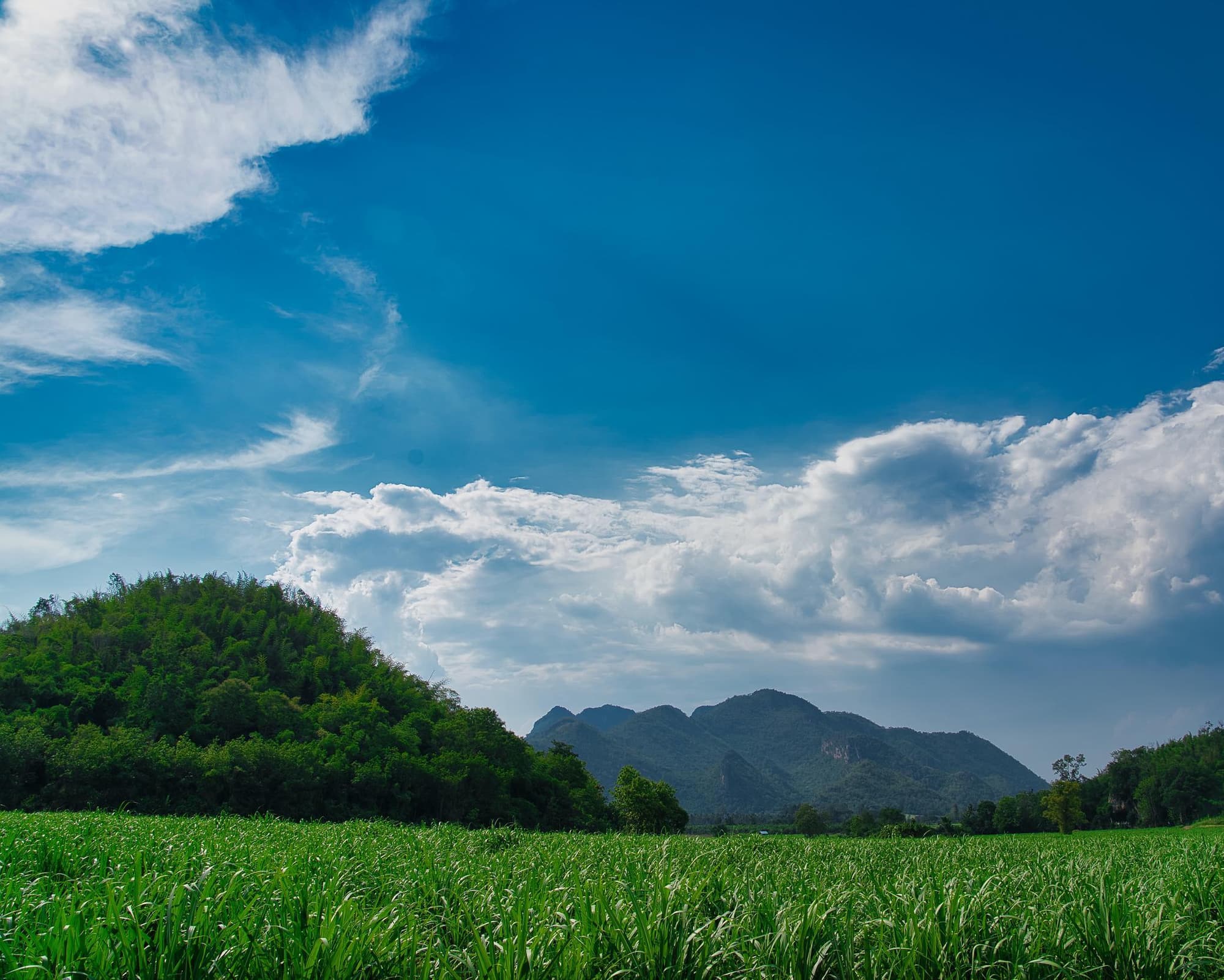 Хонкен, Таиланд