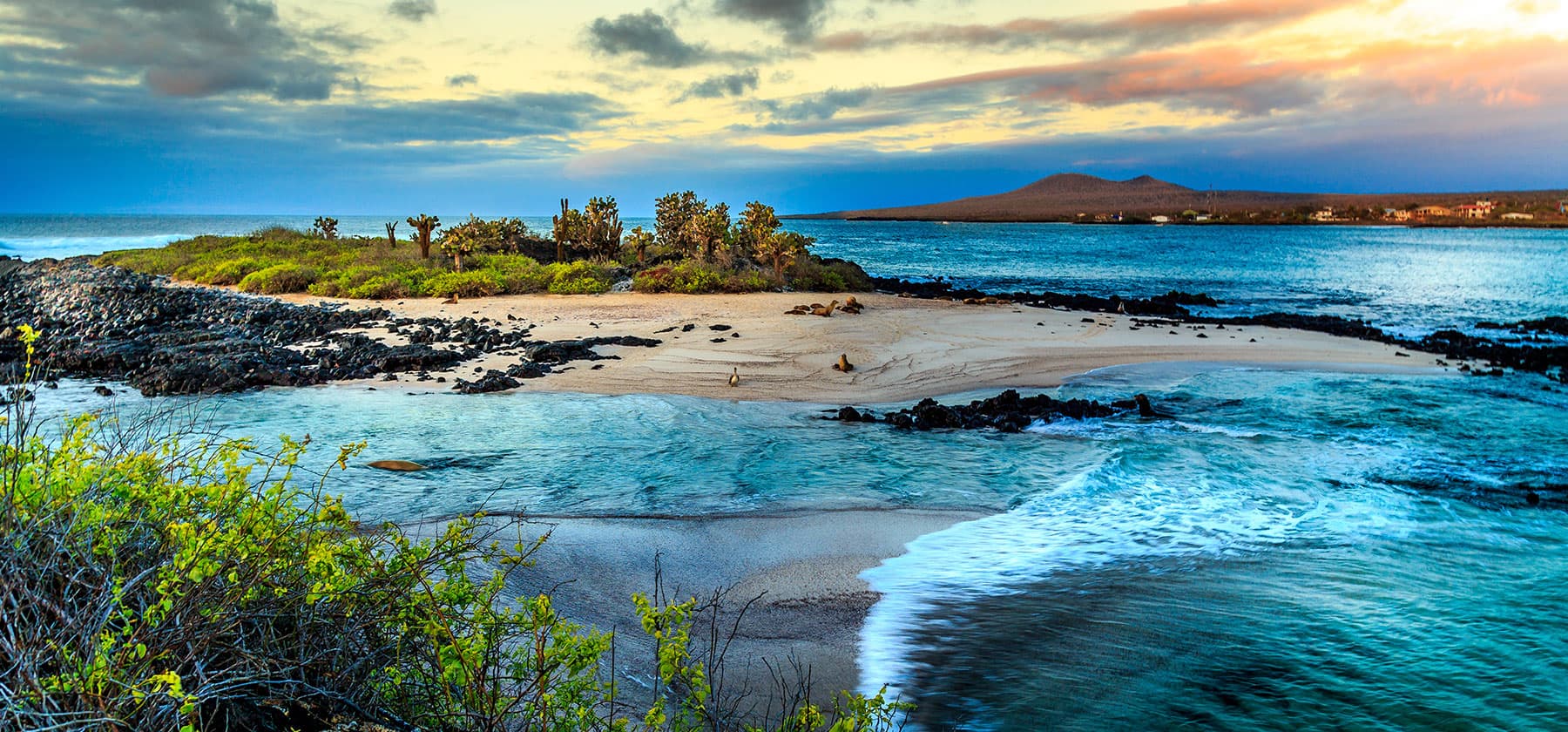 The Galapagos Islands, Ecuador