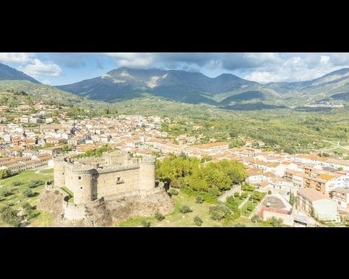 Mammabeltran, Spania