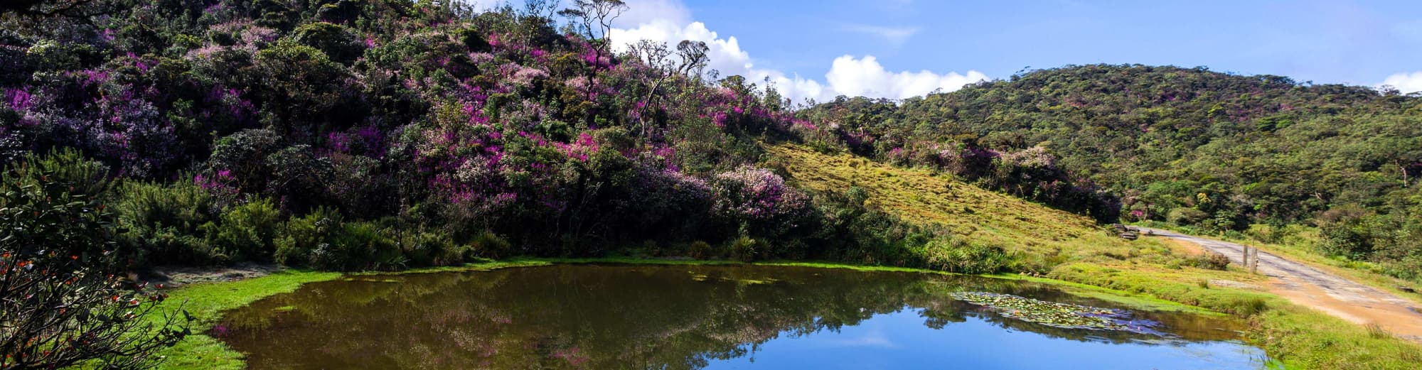 Horton Plains National Park, Sri Lanka