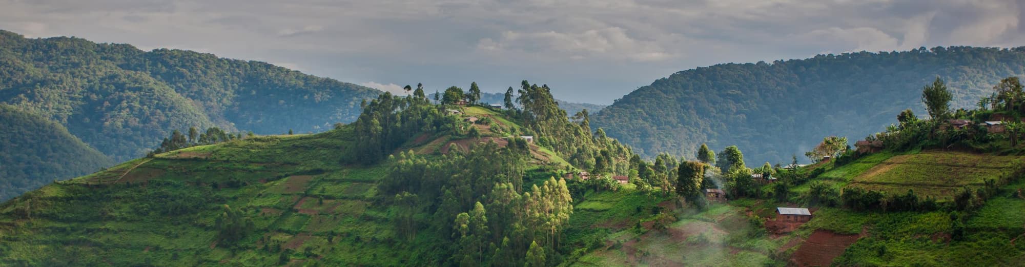 Bwindi Geçilmez Ormanı, Uganda