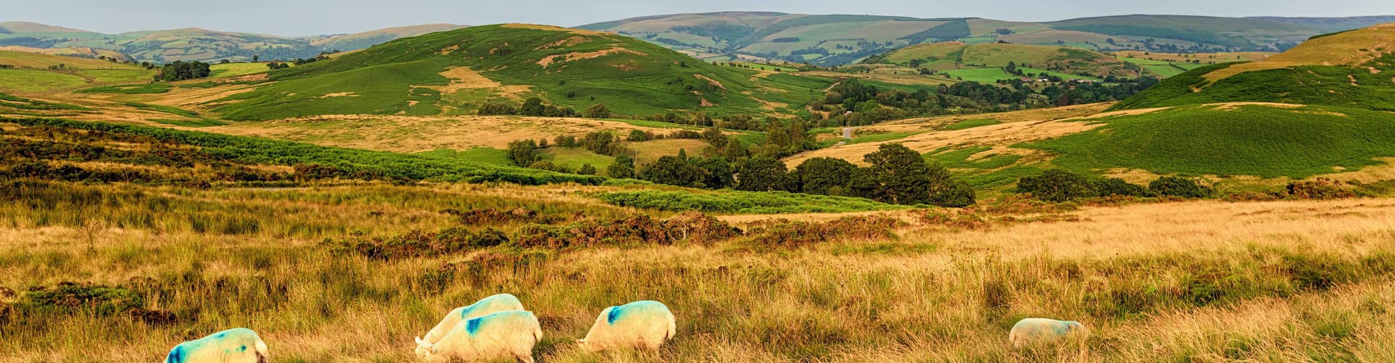 Llandrindod Wells, İngiltere