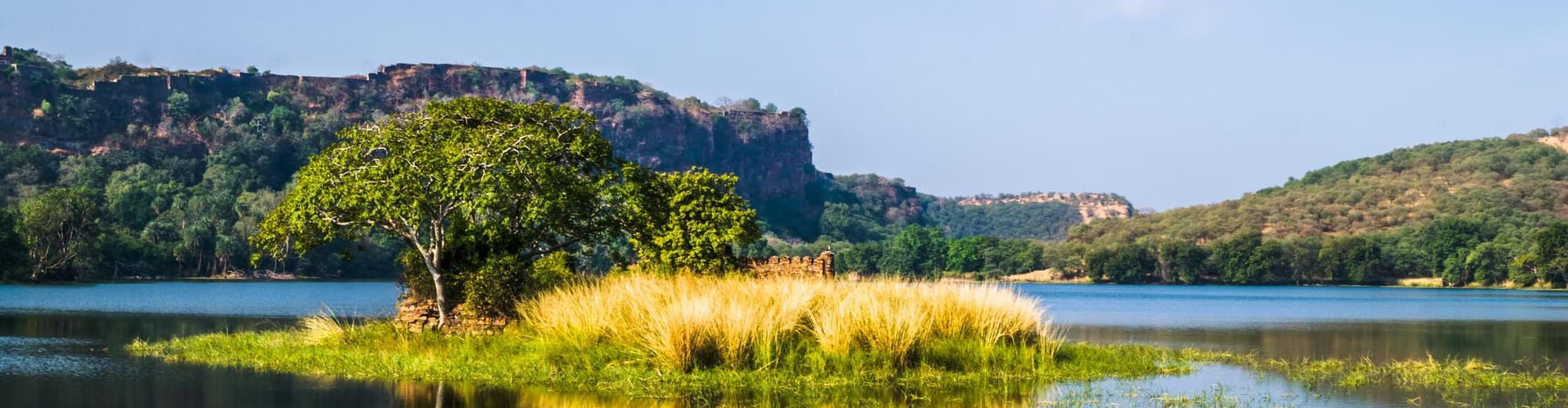 Ranthambore National Park, India