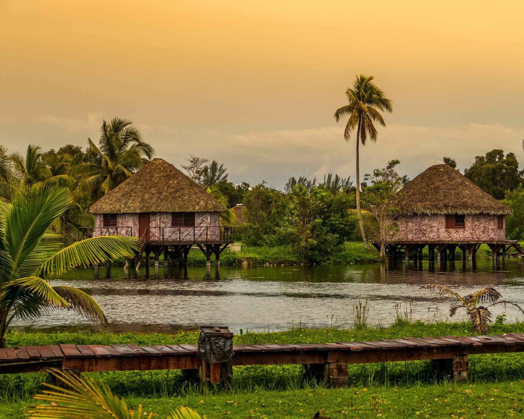 Zapata Swamp, Cuba