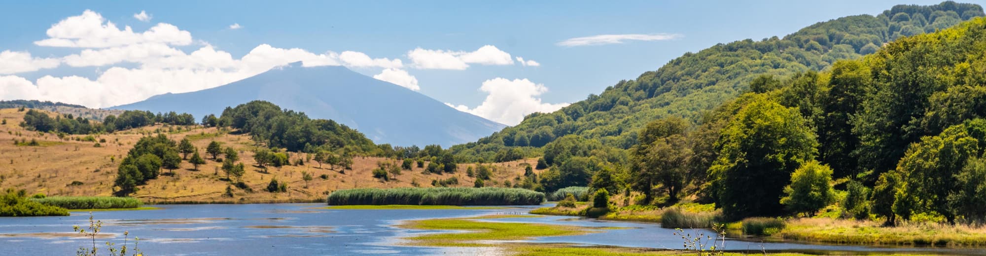 Timbavati Private Nature Reserve, South Africa
