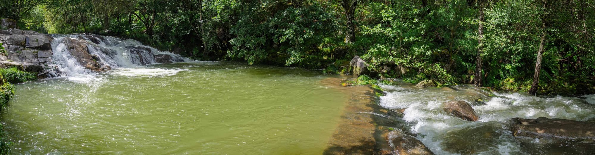 Рибадавия, Испания