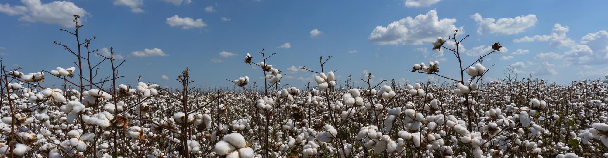 Clarksdale MS, Stati Uniti d'America
