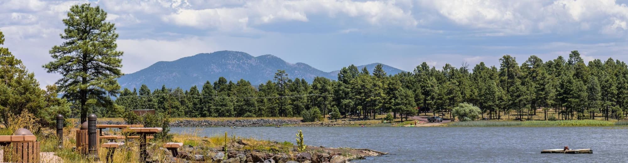 Williams AZ, Statele Unite ale Americii