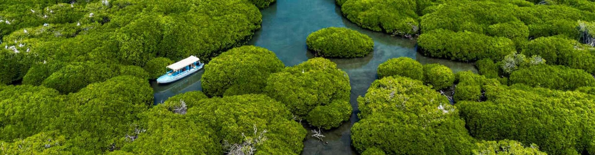 じざん, サウジアラビア