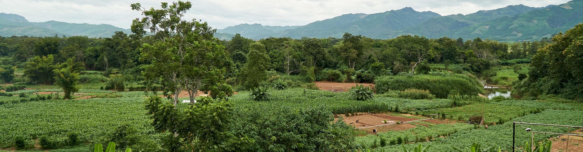 Oudomxay, Lao People's Democratic Republic