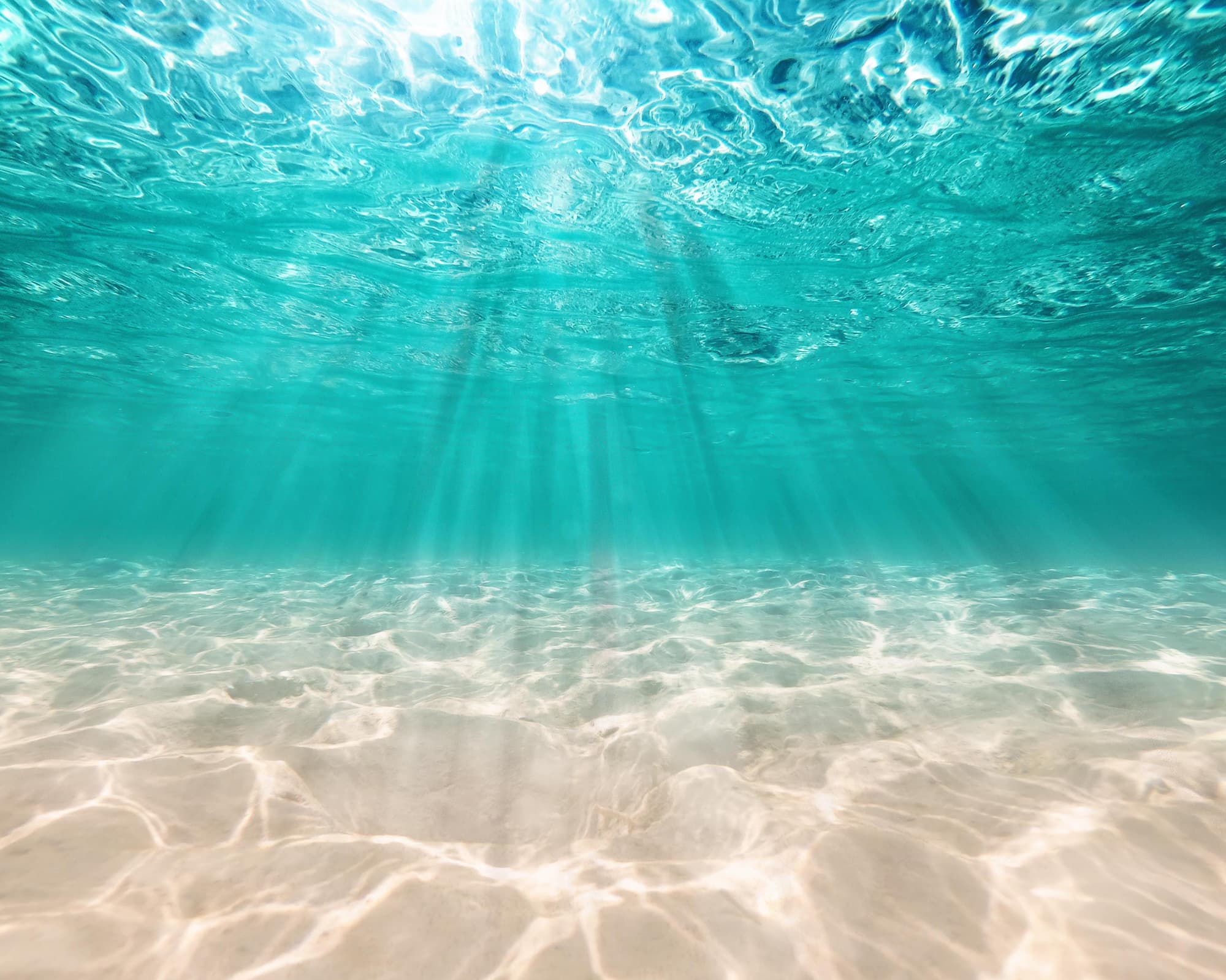 In navigation (Funchal), Portugal