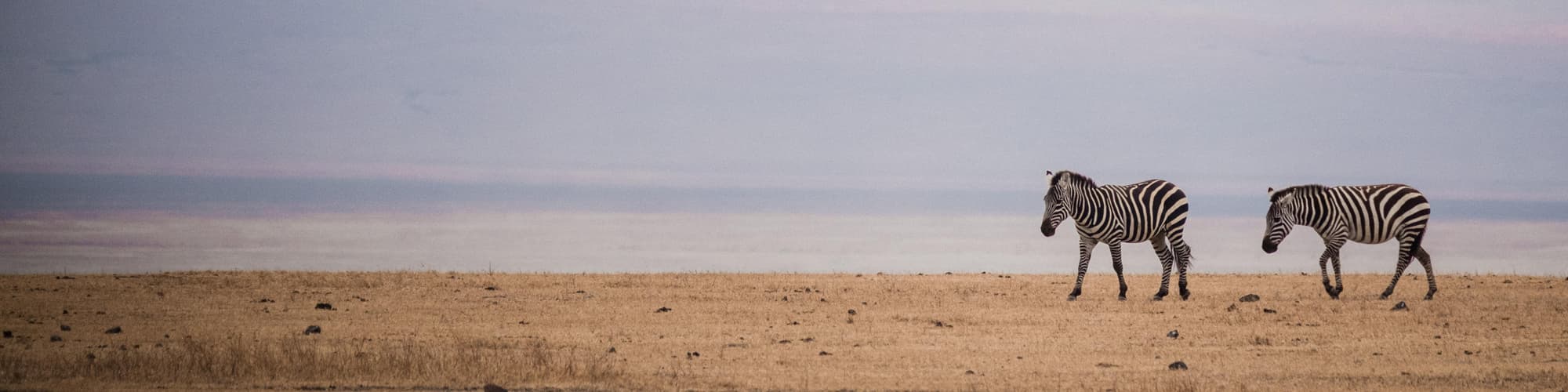 Eyasi Gölü, Tanzaniya