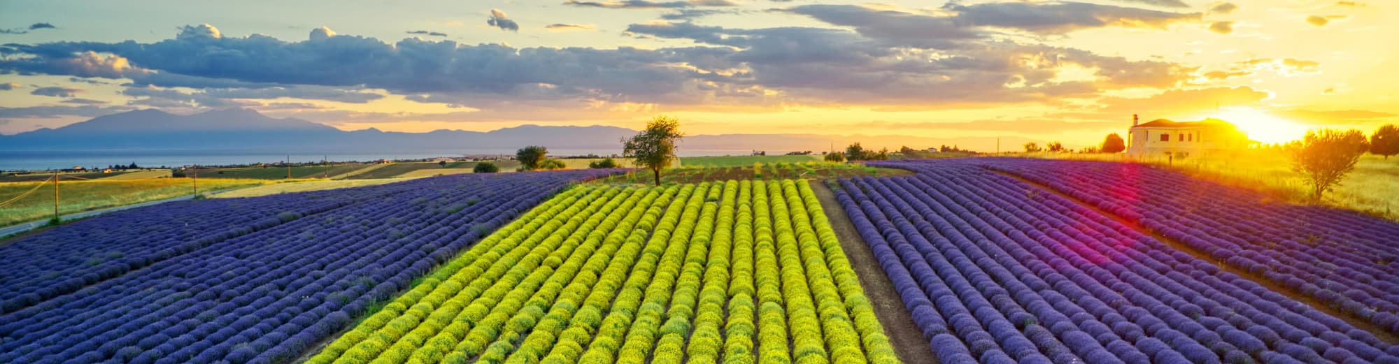 Thessalonique (Province), Grèce