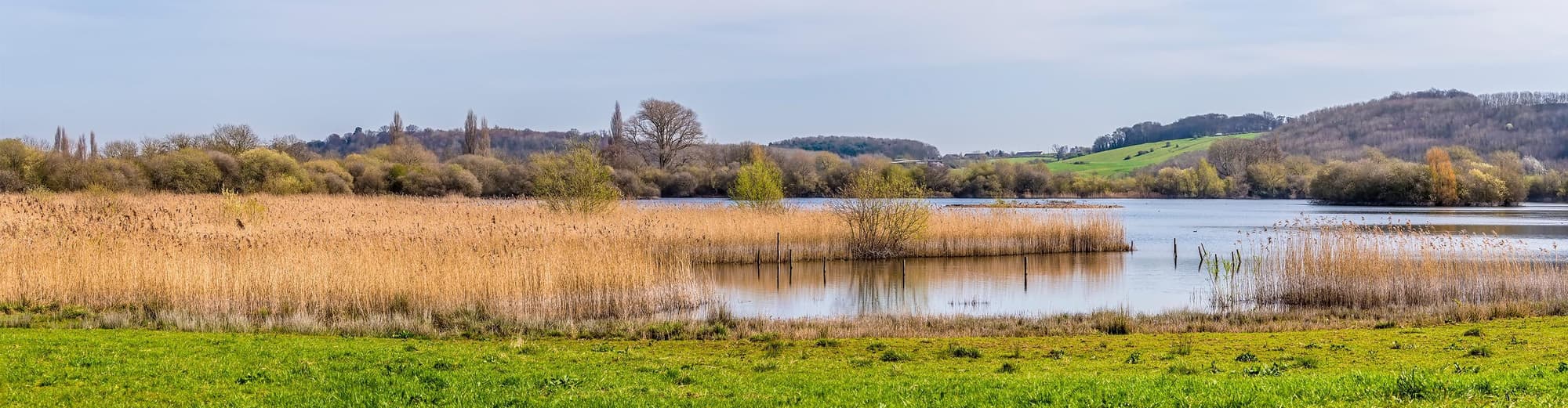 River Spring Lakes Ecological Reserve, CA, United States of America