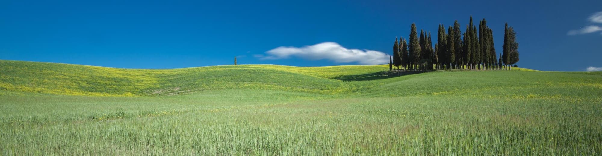 San Quirico d’Orcia, Italia