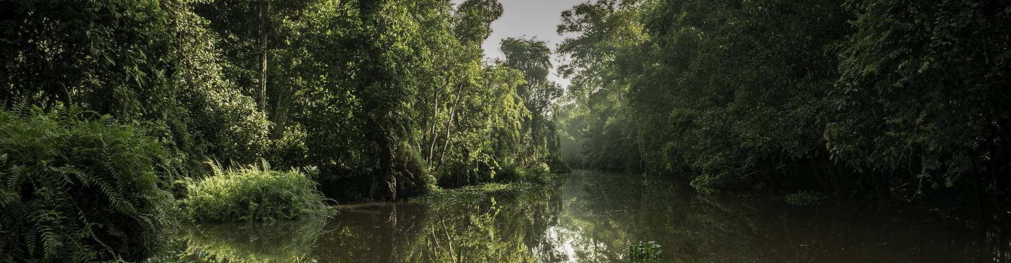 Kinabatangan-Segama, Malaysia