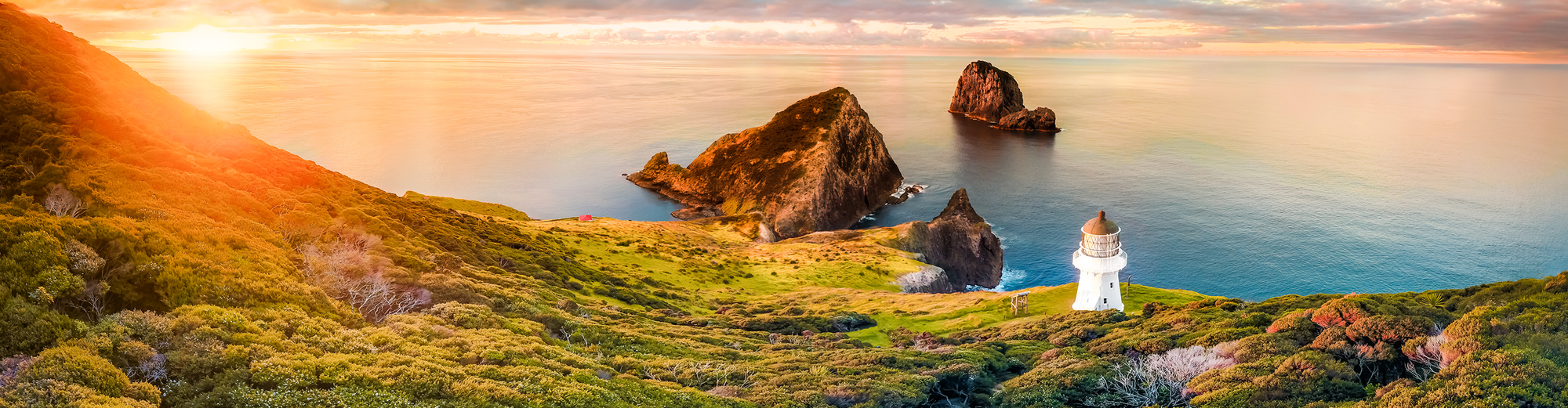 Bay Of Islands, 紐西蘭