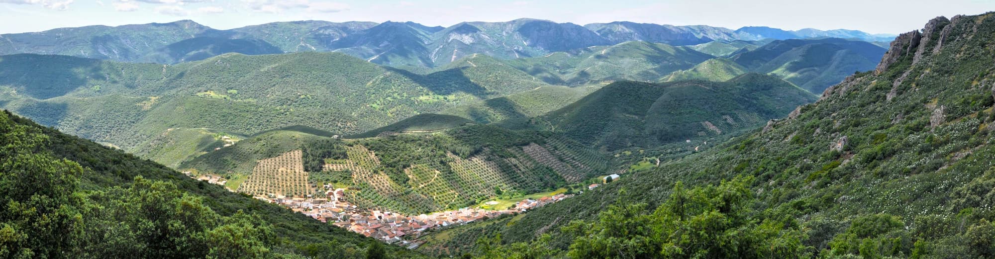 Viso del marques, Spania