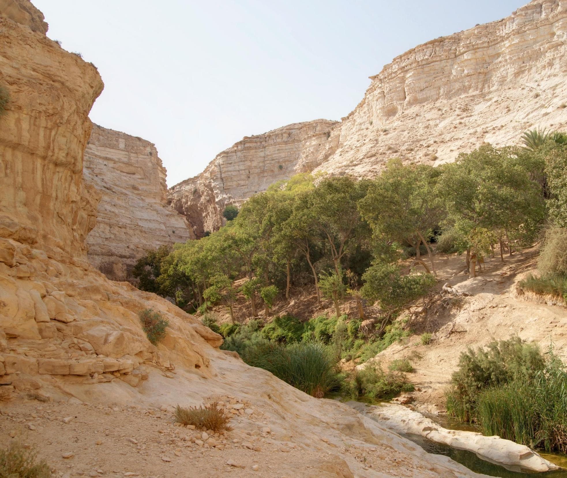 Ein Ovdat Nationalpark og Kløft, Israel