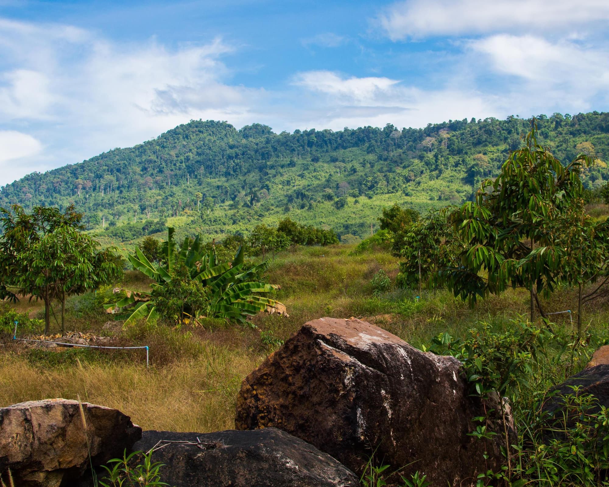 Ban Pakkad, Thailand