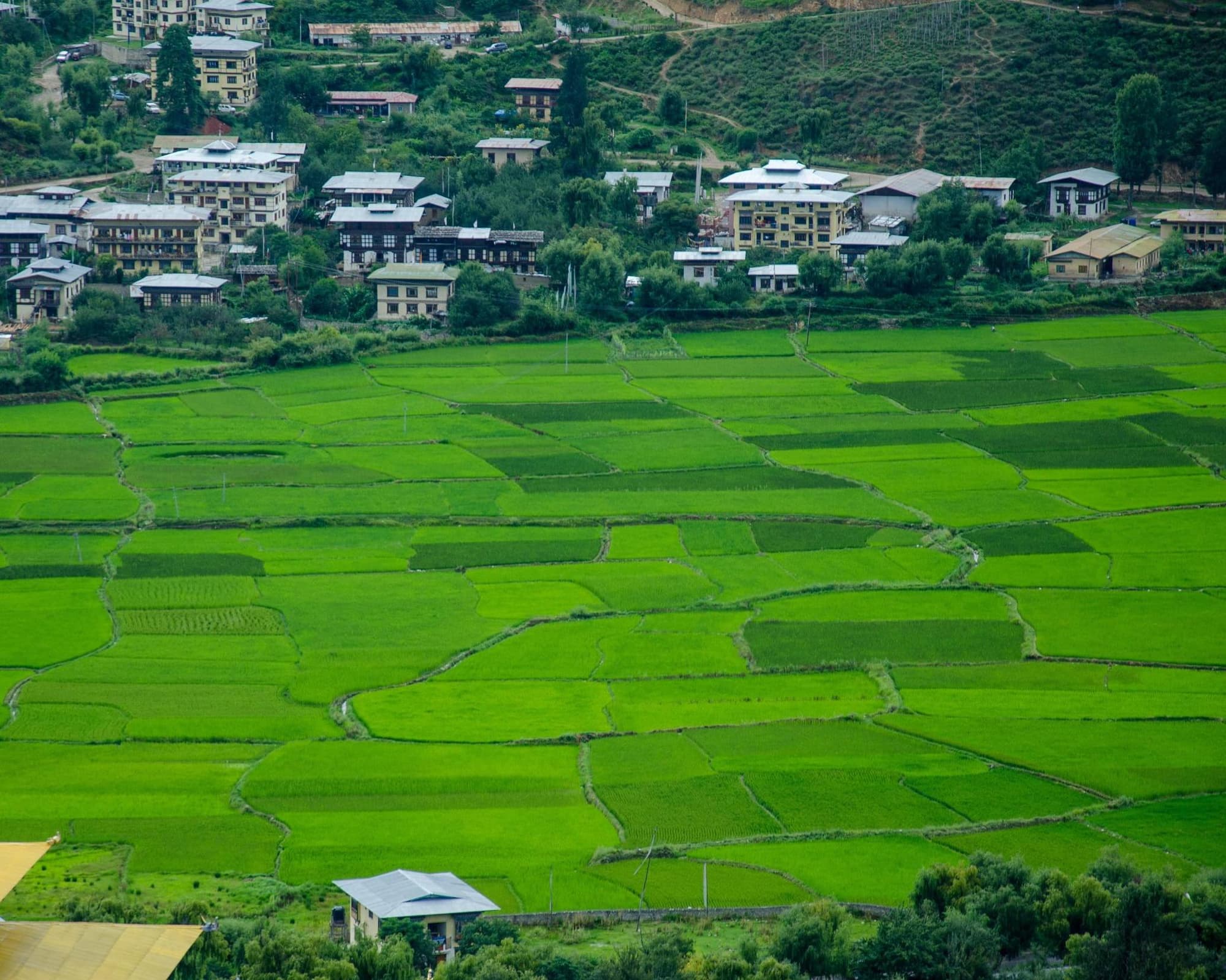 Phuntsholing, Bután
